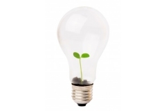 Environmental Policy