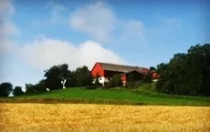 forestry and agriculture